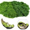 ddckj Muschio Stabilizzato 200g Muschio Finto per Decorazioni per Lavori Artigianali Decorazioni Natalizie da Giardino e da Tavola, 100 g Verde Chiaro e 100 g Verde Scuro