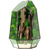WabiFlur Terrario Stabilizzato Fløya in Vetro completo, Design Nordico con Legno, Muschi e Licheni Stabilizzati Arredo Naturale Elegante Senza Manutenzione per Casa, Ufficio e Idee Regalo Green