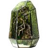 WabiFlur Terrario Stabilizzato Hönnetal in Vetro Forma Diamond, completi di Muschi e Licheni Stabilizzati Arredo Naturale Elegante Senza Manutenzione per Casa, Ufficio e Idee Regalo Green