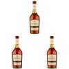 Rene' Briand René Briand, Brandy affinato e distillato in botti di rovere per oltre 3 anni, dal boquet caratteristico - 1 bottiglia da 700 ml (Confezione da 3)