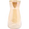 CiciIng Vaso per fiori in vetro, vaso in vetro trasparente, altezza 20 cm Vaso in vetro per la decorazione della tavola, vaso decorativo per erba pampa, tulipani, orchidee, rose, fiori secchi (ambra)