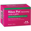 N.B.F. LANES SRL Ribes Pet Recovery Blister 60 Perle
