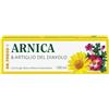 Dr.Theiss Dr Theiss Crema Arnica e Artiglio Del Diavolo 100 ml - Pomata Gel che Dona Sollievo e Benessere muscoli articolazioni, Prima e Dopo Sport e Allenamento, Sia Donna che Uomo