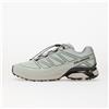 Salomon Sneakers Salomon XT-Pathway 2 Ice Flow/ Gryvio/ Claqua