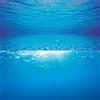 Juwel Aquarium Juwel Poster 2 sfondo blu grande