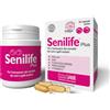 Innovet Senilife Plus - 30 Capsule Birillo - Supporto al Benessere Cerebrale di Cani e Gatti Anziani - Aiuta Memoria e Funzioni Cognitive - Con PEA-um, DHA, Vitamina E, Vitamina B6 e Fosfatidilserina