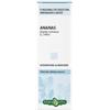 Erba Vita Ananas Gambo soluzione idroalcolica drenante 100 ml