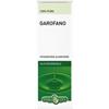 Erba Vita Garofano olio essenziale 100% puro 10 ml