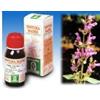 SPECCHIASOL SRL Specchiasol Salvia 25 tintura madre 50 ml