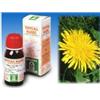 SPECCHIASOL SRL Specchiasol Tarassaco 20 Tintura Madre 50 ml