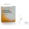 Guna Heel Echinacea Composta S 10 fiale omeopatiche da 2,2 ml