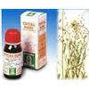 SPECCHIASOL SRL Specchiasol Tintura madre per Disturbi Mestruali 50 ml