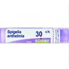 Boiron Spigelia Anthelmia 30CH Rimedio omeopatico in granuli 4 g