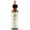 Schwabe Pharma Italia Schwabe Pharma Vervain Fiori di Bach per eccesso di entusiasmo e sovraeccitazione 20 ml