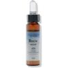 Forza Vitale Fiori Mediterranei Beech gocce 10 ml