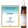 Forza Vitale Fiori Mediterranei Gorse gocce 10 ml
