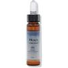 Forza Vitale Fiori Mediterranei Holly gocce 10 ml