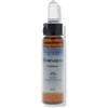 Forza Vitale Fiori Mediterranei Hornbeam gocce 10 ml