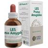 Forza Vitale Les Prunus Amigdalus gocce 50 ml