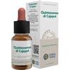Forza Vitale Ecosol Quintessenza di Cajeput gocce 10 ml