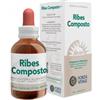 Forza Vitale Ecosol Ribes composto gocce 50 ml