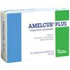 Gruppo Amelfarma Di Cioni V. Amelcur Plus Integratore antiossidante con curcuma e te verde 30 compresse