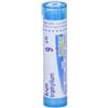 Boiron Arum Triphyllum 9CH 80 granuli contenitore multidose