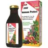 SALUS HAUS GMBH & CO KG Salus Immuno Protect Integratore per il Sistema Immunitario 250ml