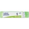 Boiron Ledum Palustre 5CH 80 granuli contenitore multidose 4 g