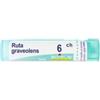 Boiron Ruta Gravolens 6CH 80 granuli contenitore multidose 4 g