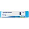 Boiron Influenzinum 9CH contenitore monodose globuli 1 g