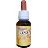 Sygnum Lipo propoli in olio di girasole per orecchie naso herpes 20 ml