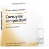Guna Coenzyme Compositum 10 Fiale