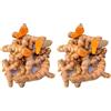 Bongiovanni Bontà Naturali Curcuma Radice a Pezzi 50g Premium | Curcuma Intera Secca per Tisane e Spezie | Antiossidante Naturale, Gusto Intenso e Benefico | Ideale per Infusi e Cucina Salutare.