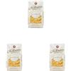 La Molisana - Conchigliette n. 57, Pasta Classica da Solo Grano Italiano, Trafilata al Bronzo, Formato a Conchiglia Perfetto per Minestre o Sughi Leggeri, Confezione da 1500 g