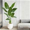 FSOHOI Albero Artificiale 180m Uccello del Paradiso, Pianta Artificiale PE Banano Artificiale, Pianta Finta da Interno, Palma Tropicale Albero Verde Finto con Vaso per la Decorazione della Casa Soggiorno