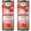 L'Angelica, Tisana Fredda in Lattina, Armonia Vitalità, Gusto Anguria e Fragola, Zero Calorie, Infusione 100% Naturale, Senza Zuccheri Nè Conservanti, 240ml (Confezione da 2)