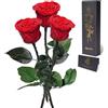 Yamonic Rosa Stabilizzata Regalo Donna,Festa della Mamma Idee Regalo,Rosa Eterna con Steli Regali per Donne Compleanno,Vera Rosa Regali Mamma,3 Rose
