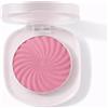 TINTARK Cheeky Blush Palette, Fard in Polvere Make up Viso, Resistente All'acqua e Al Sudore, Lunga Durata, Matte, Adatto a Diversi Gruppi Di Pelle, Talc Free, 2.7g(04)