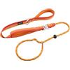 Arblina Guinzaglio per Cani, Guinzaglio Retriever per Cani con Doppie Maniglie, Guinzaglio Cane con Hi-Vis Retro Riflettente, Guinzaglio a Strozzo per Cani con Fermo di Trazione