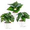 PASCH® Set di 3 piante artificiali come reali (18 cm) in vasi di ceramica lucida, piante artificiali in vaso, fiori artificiali in vaso