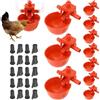 Kit Mangiatoia Abbeveratoio Galline Automatico Sistema Distributore Acqua Mangime Pollaio 11l + 12kg Regolabile