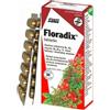 SALUS HAUS Zioło-Piast Floradix compresse 84 pezzi Fonte di ferro
