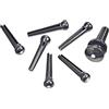 Planet Waves D'Addario PWPS10 Pioli per Ponte Stampati a Iniezione e Set Bottone Planet Waves, Ebano con Inserto in Avorio