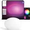 Philips Hue Flourish, Lampada da tavolo con lampadina smart A60 inclusa