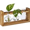 Relaxdays Vasi Vetro Decorativi, Set 3 Vasetti per Fiori ad Ampolla Geometrica, 13x28x6,5 cm, Supporto in Legno Naturale