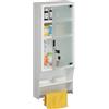 Relaxdays Armadietto Pronto Soccorso per Medicinali, Cassetta Medicine Chiusa a Chiave, 4 Scomparti, 65x27x12, Bianco