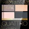 Eveline Cosmetics Quattro 3.2 g