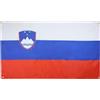 AZ FLAG Bandiera Slovenia 150 x 90 cm con 4 occhielli, bandiera slovena per balcone o parete