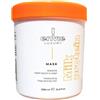 ENVIE LUXURY Envie Maschera Proteine del Latte per Capelli Secchi e Crespi, 1000 ml, pH Acido